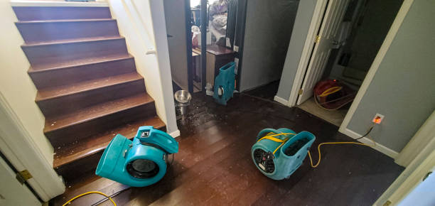 Best Flood restoration services  in Cocoa, FL