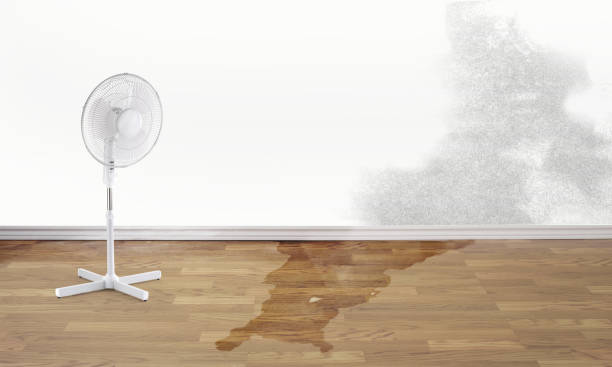 Trusted Cocoa, FL Water damage restoration Experts