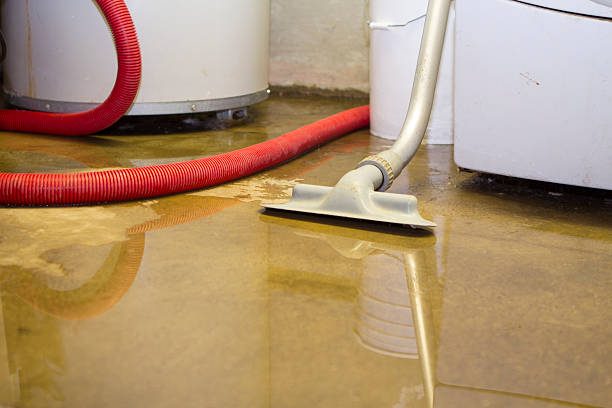 Best Basement water damage restoration  in Cocoa, FL