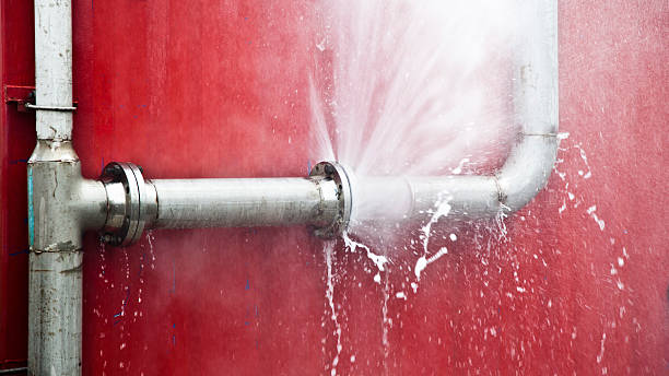 Best Professional water damage repair  in Cocoa, FL